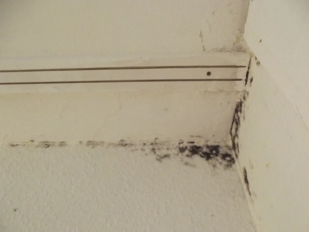 Technician in protective gear removing a mold-damaged wall in a Buckner home